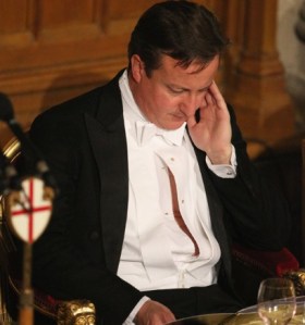 david-cameron-squa_2396863a