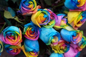 Image: May S. Young via Flickr (CC BY 2.0)